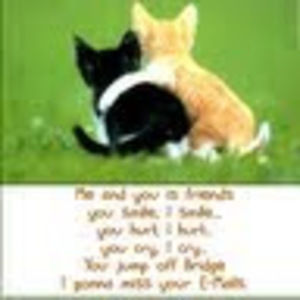 Meet your Posher, Alexandria